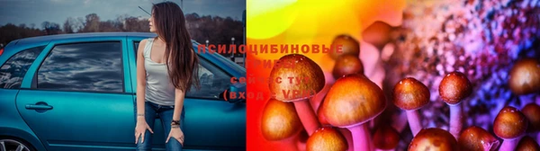 метадон Алексин